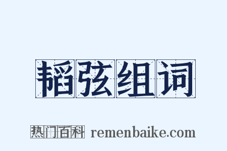 韬弦组词是什么意思的图片